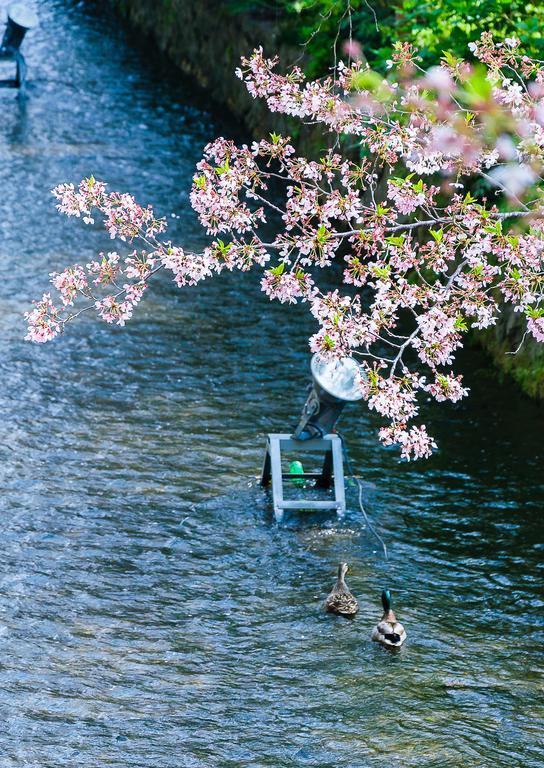 Kumomachiya Takasegawa Villa Kyoto Dış mekan fotoğraf