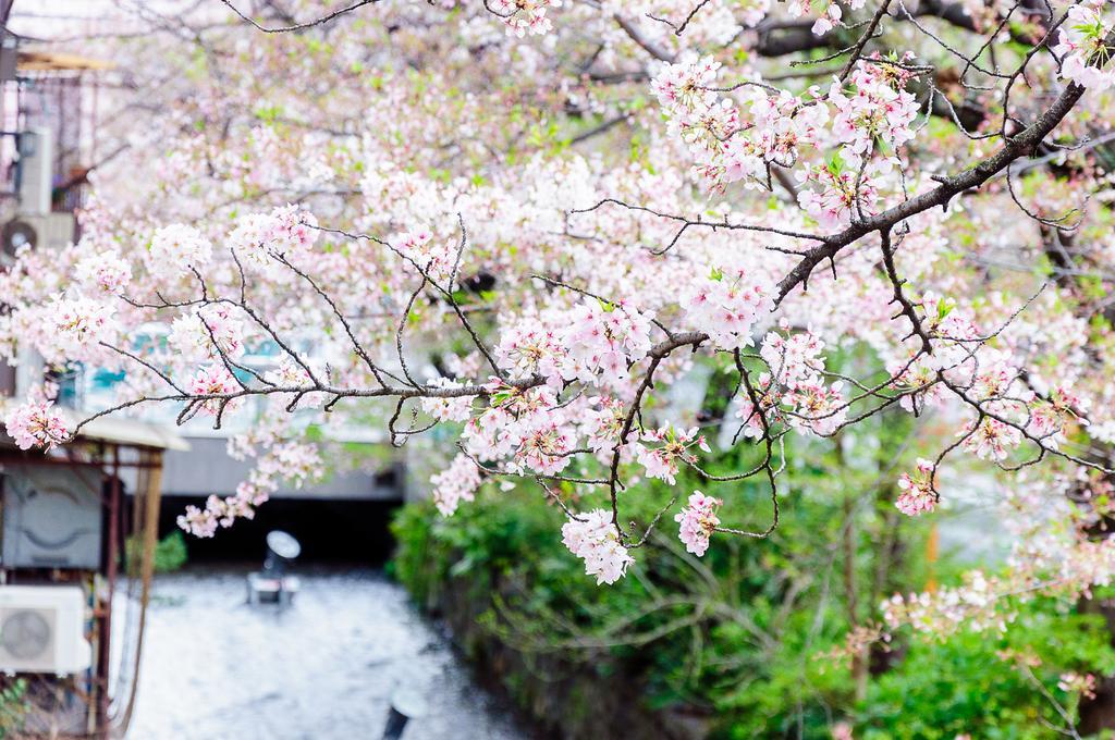 Kumomachiya Takasegawa Villa Kyoto Dış mekan fotoğraf