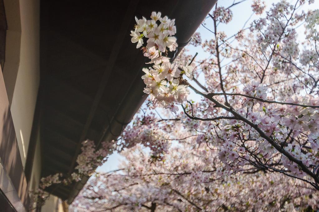Kumomachiya Takasegawa Villa Kyoto Dış mekan fotoğraf
